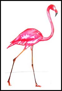 How to Draw a Flamingo Tutorial