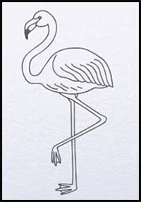 Transparent Flamingo Clipart - Cute Flamingo Drawing Easy, HD Png Download  - vhv