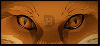 How to Draw Fox Eyes