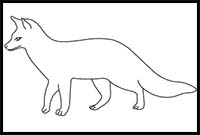 How to Draw an Island Fox