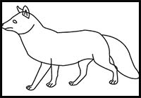 How to Draw a Tibetan Fox