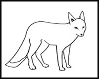 How to Draw a Swift Fox