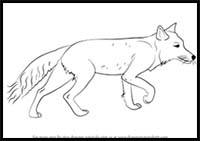 How to Draw a Tibetan Fox