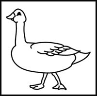 How to Draw Cartoon Geese & Realistic Geese : Drawing Tutorials