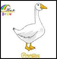 How to Draw a Goose Easy Step by Step
