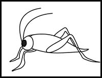 How to Draw a Grasshopper