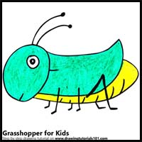 How to Draw a Grasshopper for Kids
