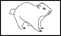 How to Draw a Groundhog