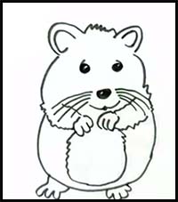 How to Draw a Hamster