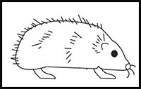 How to Draw a Hedgehog