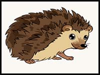 How to Draw a Hedgehog