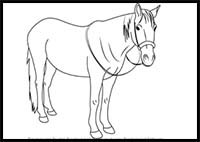How to Draw Standing Horse