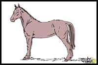 How to Draw an Easy Horse