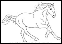 How to Draw a Cleveland Bay Horse