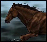 How to Draw a Race Horse
