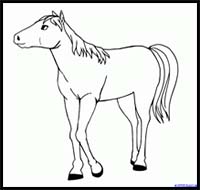 How to Draw Anime Horses