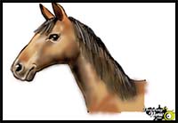 How to Draw the Head of a Horse