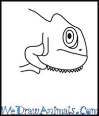 How to Draw a Chameleon Head