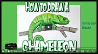 How to Draw a Chameleon in Easy Steps Video