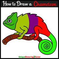 How to Draw a Chameleon