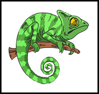 How to Draw a Chameleon Realistic
