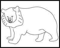 How to Draw an Asiatic Black Bear