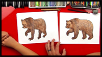 How to Draw a Grizzly Bear (Realistic)
