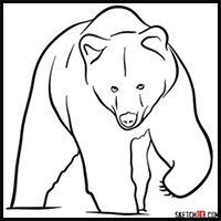 How to Draw a Grizzly Bear (Front View)