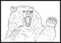 How to Draw an Angry Grizzly Bear