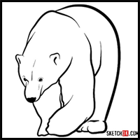 How to Draw a Polar Bear | Wild Animals