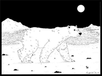 Learn How to Draw a Polar Bear Step by Step