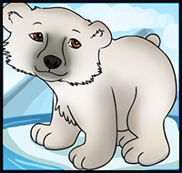 How to Draw Cartoon Polar Bears Drawing Tutorial