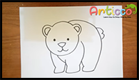 How to Cute Draw a Bear Step by Step for Beginner 