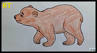 How to Draw a Bear Cute and Easy