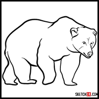 How to draw a brown bear