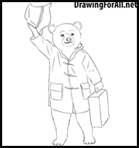 How to draw Paddington Bear