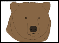 how to draw a bear head