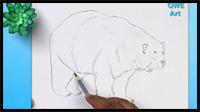 Bear Drawing from a Potato