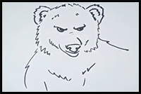 How to Draw a Bear Face