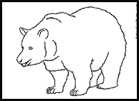 How to Draw Cartoon Bears Drawing Tutorials