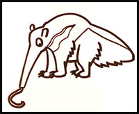 How to Draw an Anteater - Easy Pictures to Draw