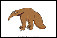 How to Draw an Anteater Step by Step