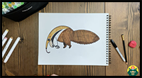 How to Draw an Anteater!