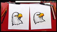 How to Draw a Realistic Bald Eagle Head