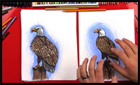 How to Draw a Realistic Bald Eagle