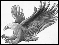 How to Sketch an Eagle In Pencil, Draw an Eagle Bird