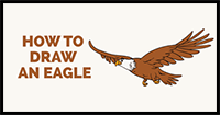 How to Draw an Eagle