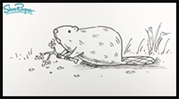 Draw a Beaver