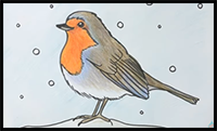 How to Draw a Robin Step by Step