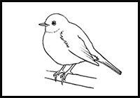 Drawing a Bird / Robin with Simple Shapes for Preschoolers